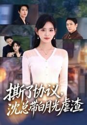 撕了协议，沈总带白月光虐渣